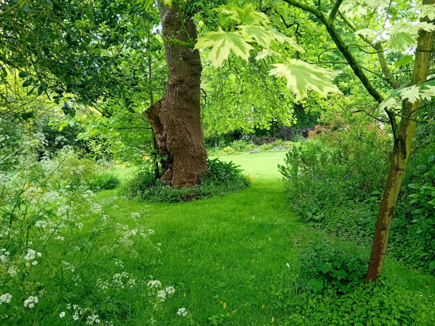 The Old Vicarage, Holbeach Hurn, Lincolnshire, PE12 8JN National